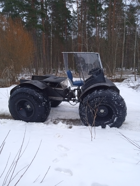 Элфорус весной