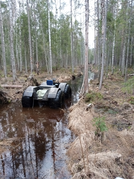 Элфорус на лесовозной дороге
