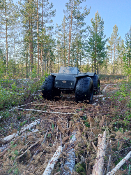 Элфорус