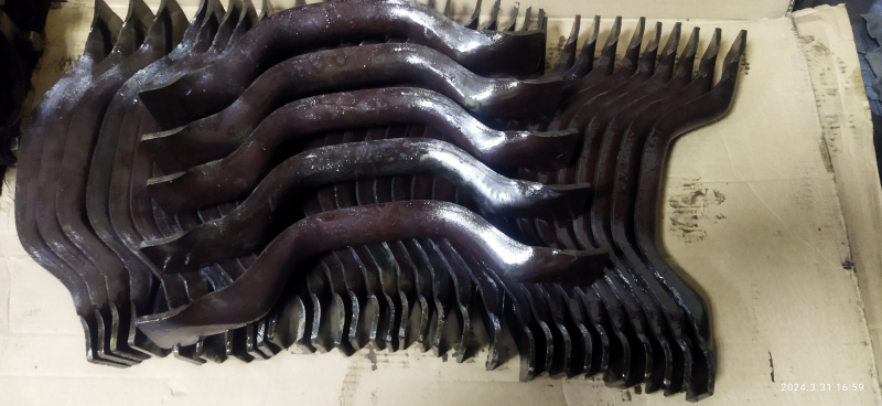 IMG_20240331_165900[1]