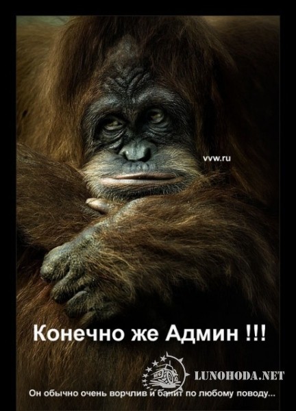 admin