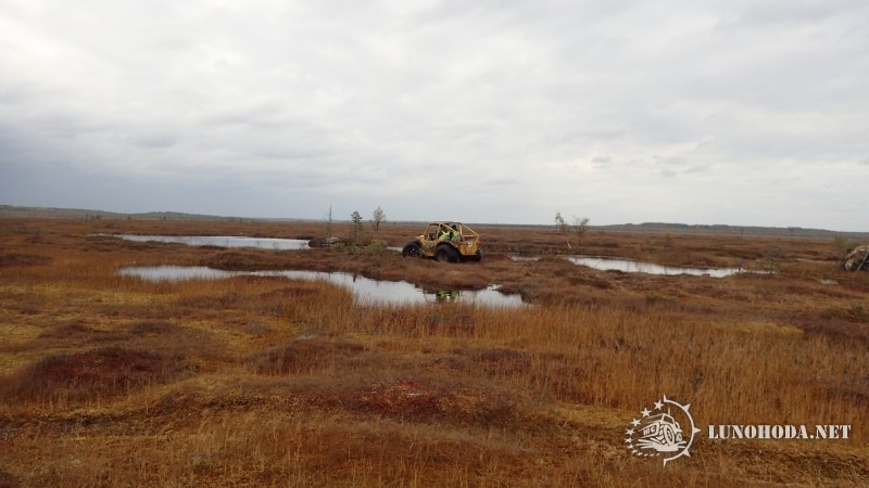 вездеход трофи 2019/ №17 на болоте соколий мох