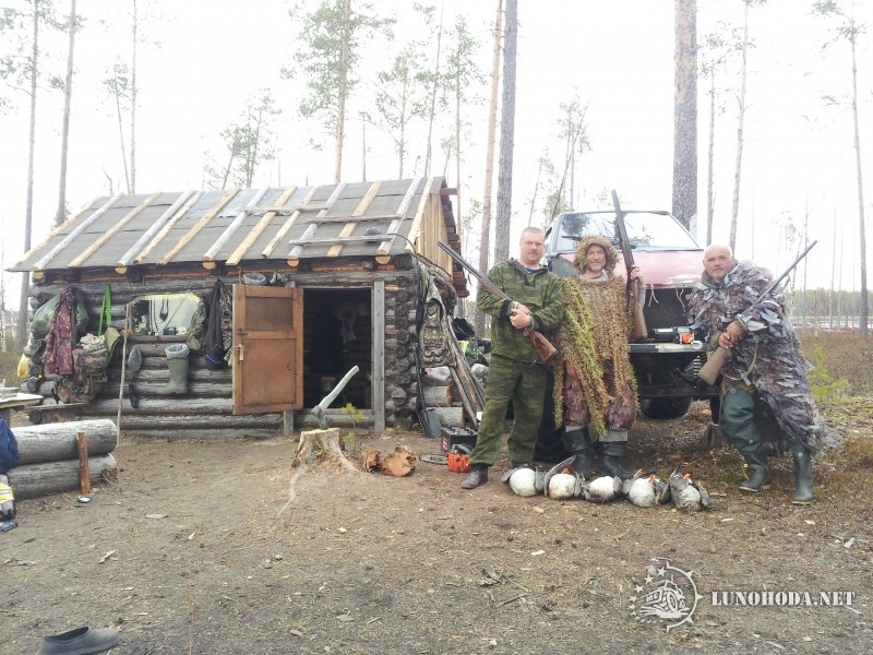 весна 2015г.