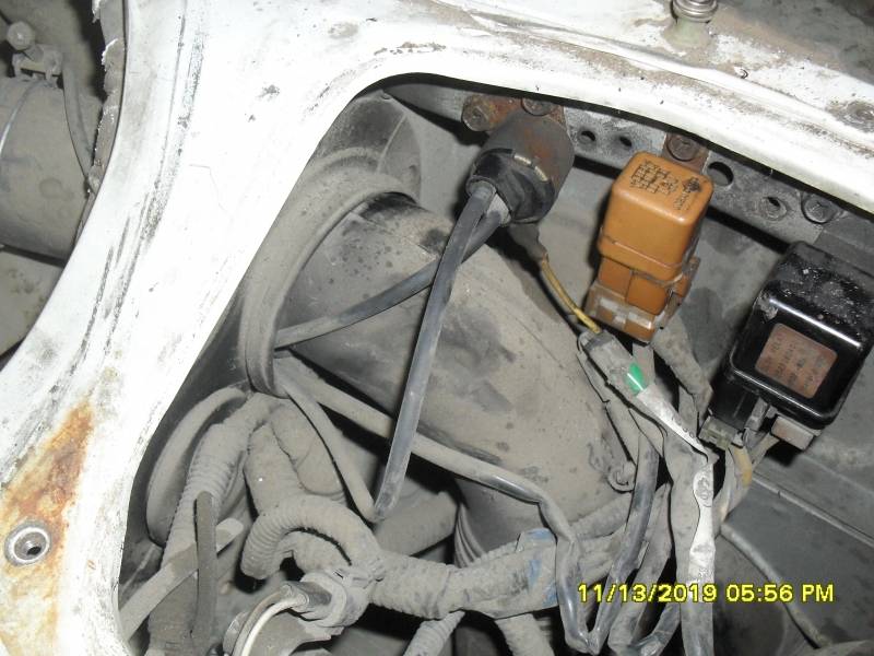 SDC17539