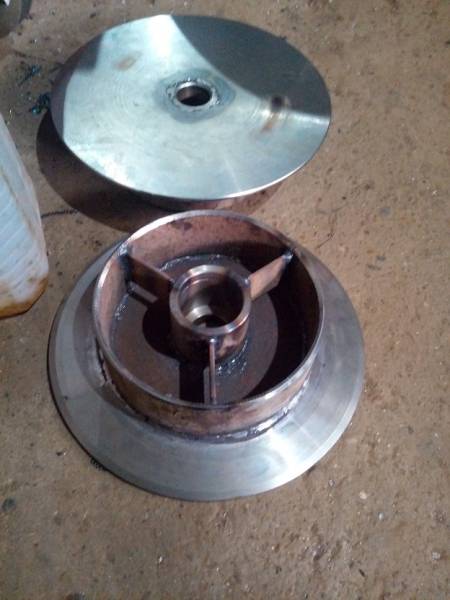 пол ленивца