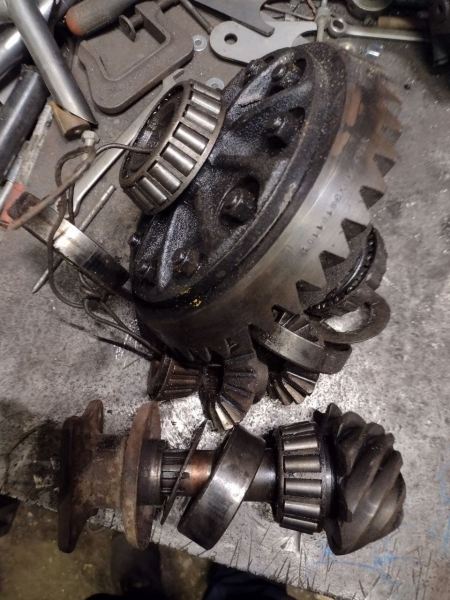 photo_2022-02-28_09-33-20