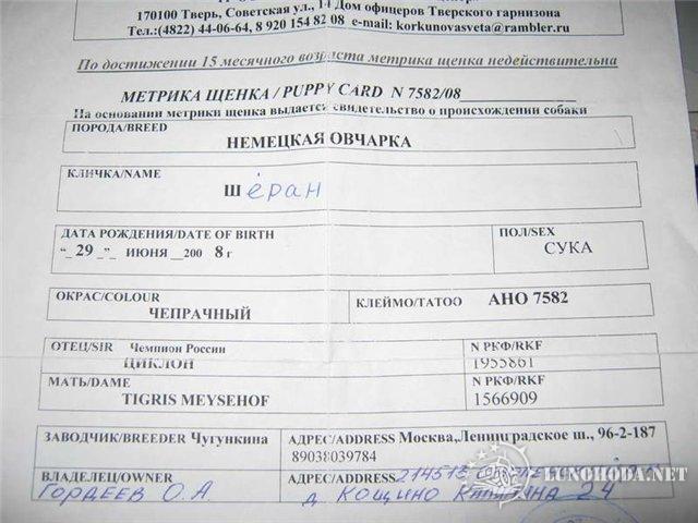 Изображение